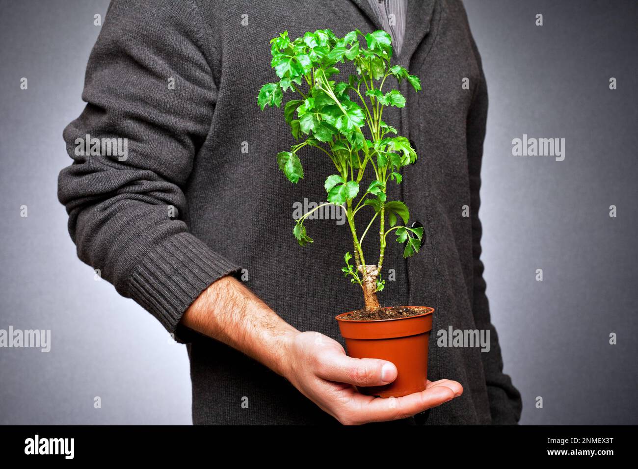 Small plant in a plastic pot, is held in the hand with conceptual