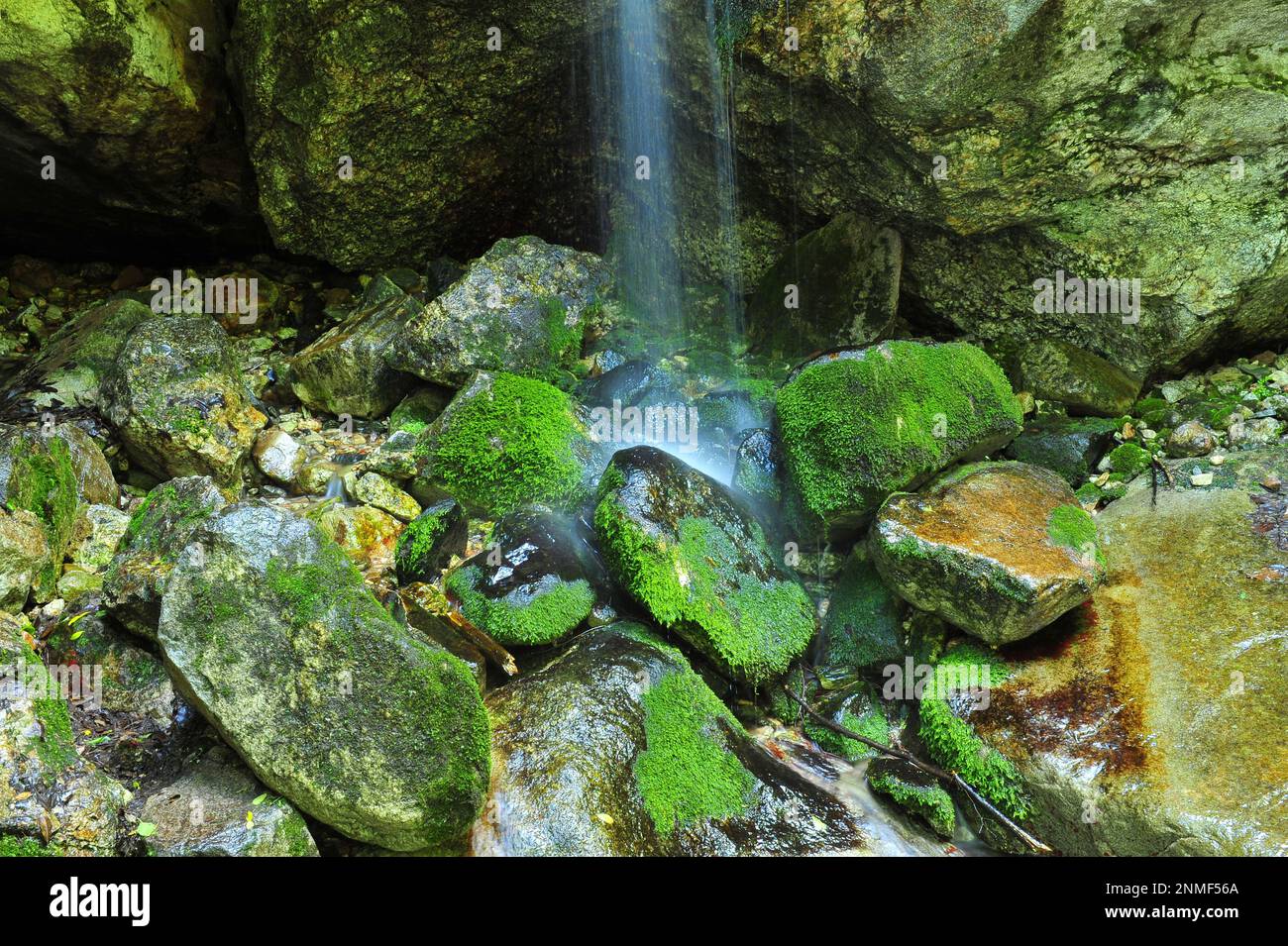 Mountain spring cascade Stock Photo Alamy