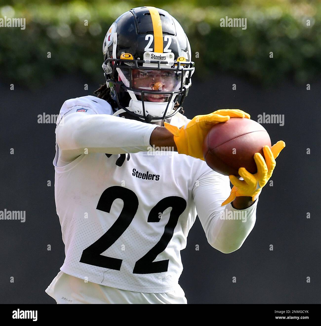 Pittsburgh Steelers Running Back Najee Harris Pulls In A Pass During An ...