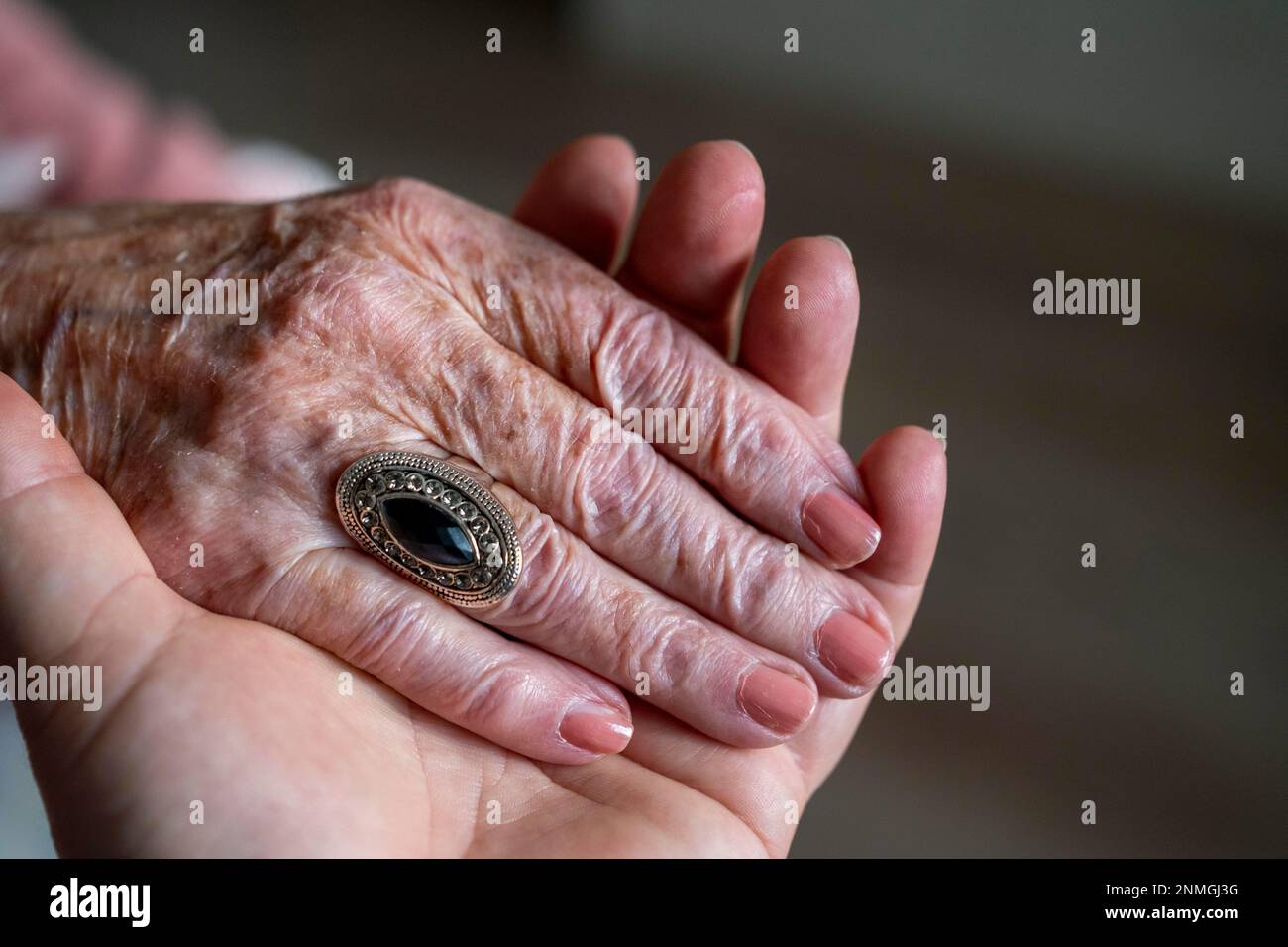 Hands of a senior citizen, hand is held, Upper Bavaria, Bavaria, Germany Stock Photo
