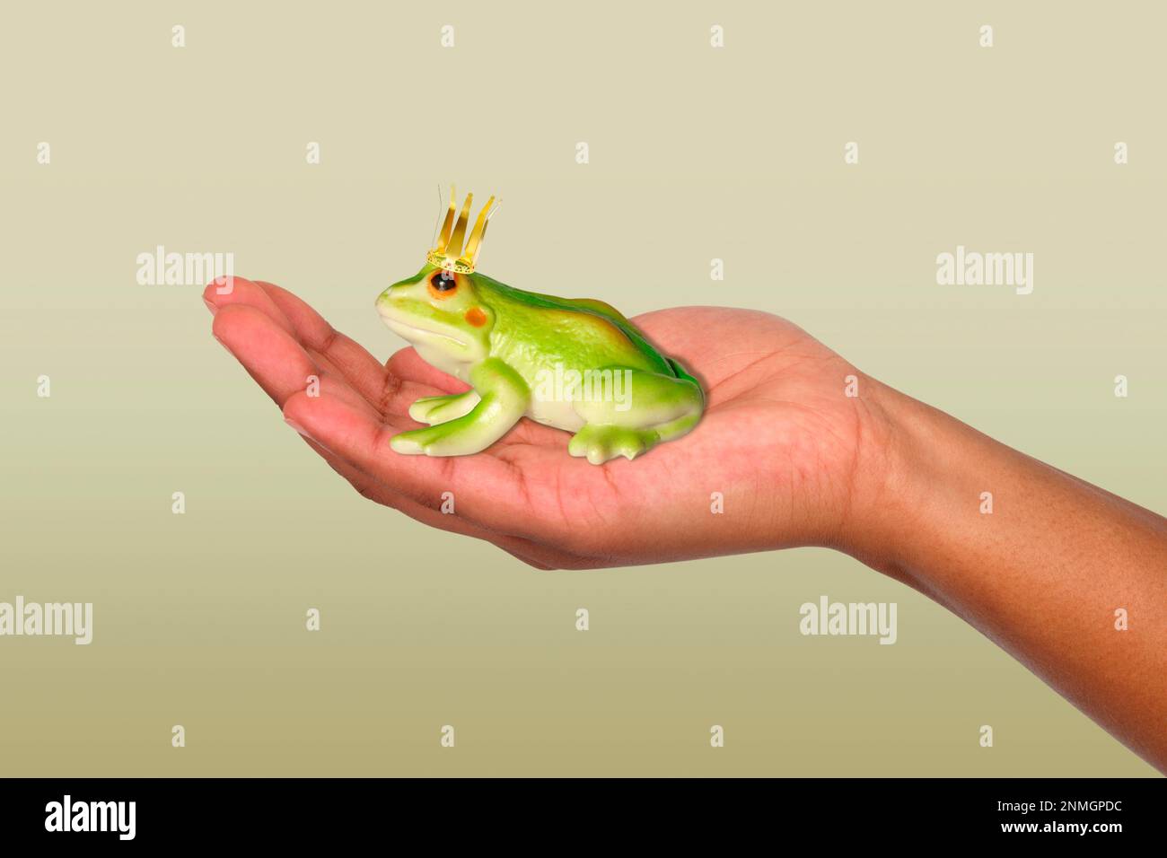 Frog Prince on the Hand Stock Photo