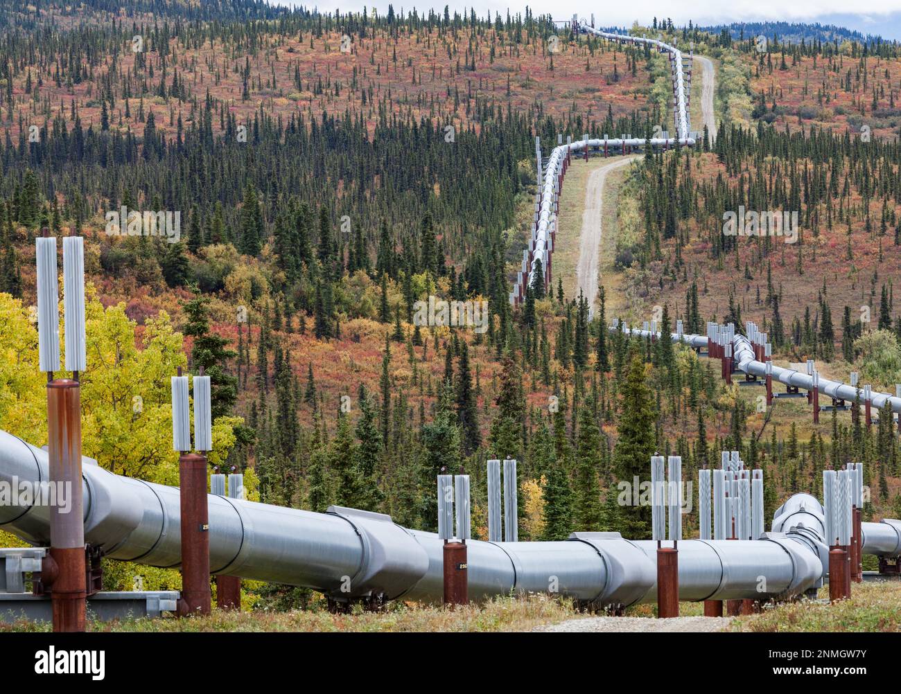 Alaska Pipeline on the Richardson Highway towards Valdez Stock Photo