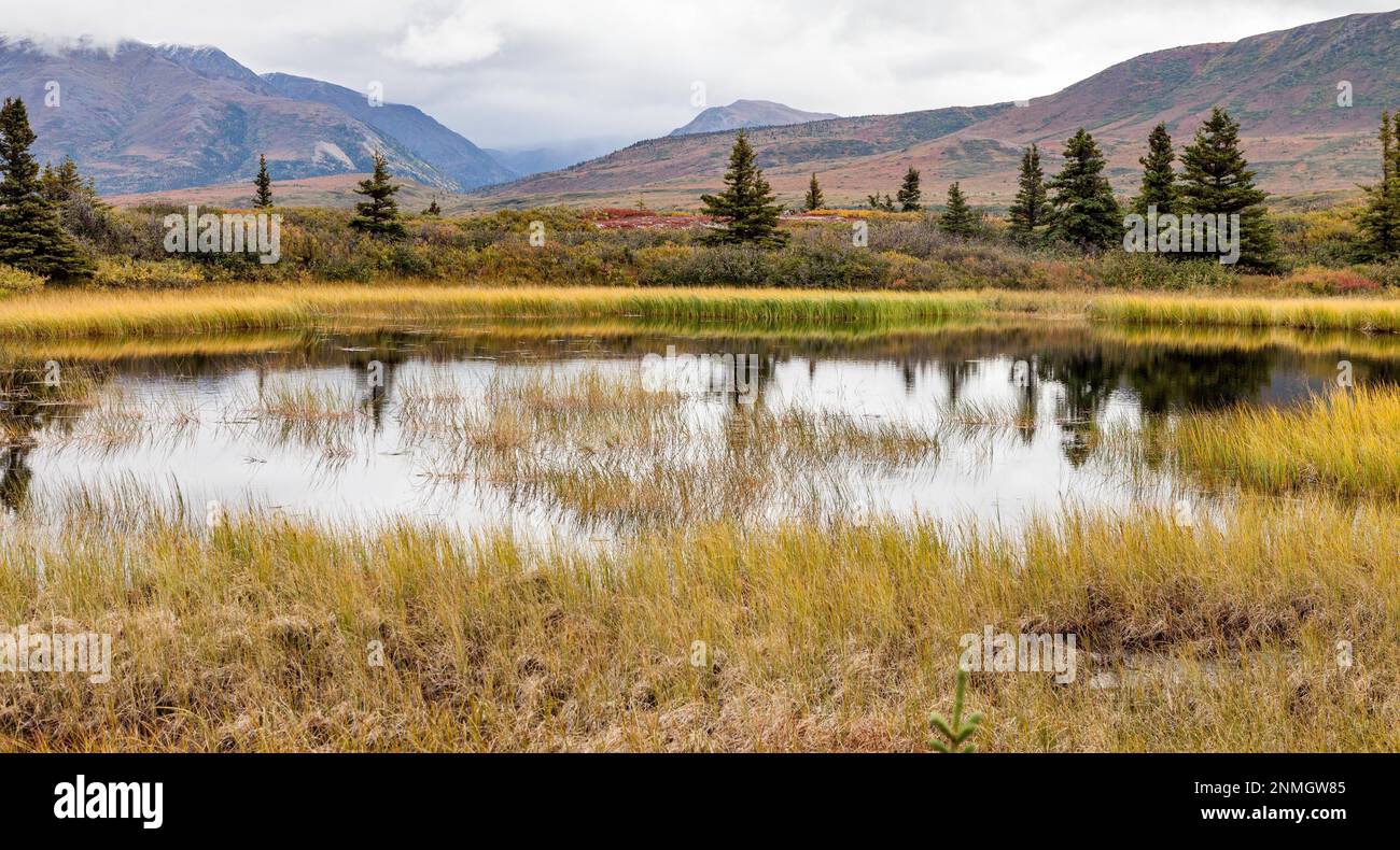 On the richardson highway alaska tundra in autumn stock photo alamy