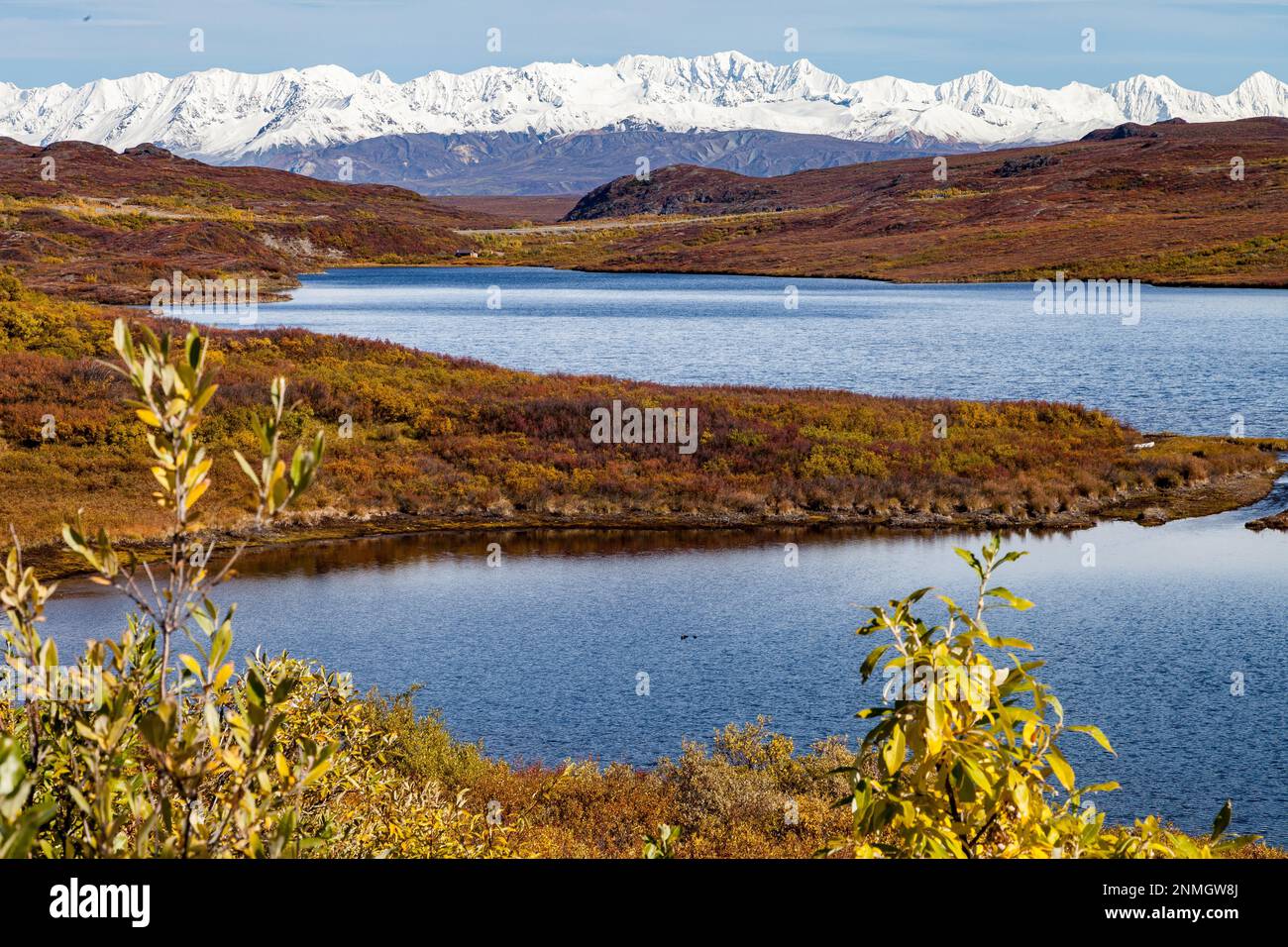 The Alaska Range, seen from the Glennallen Highway Stock Photo Alamy