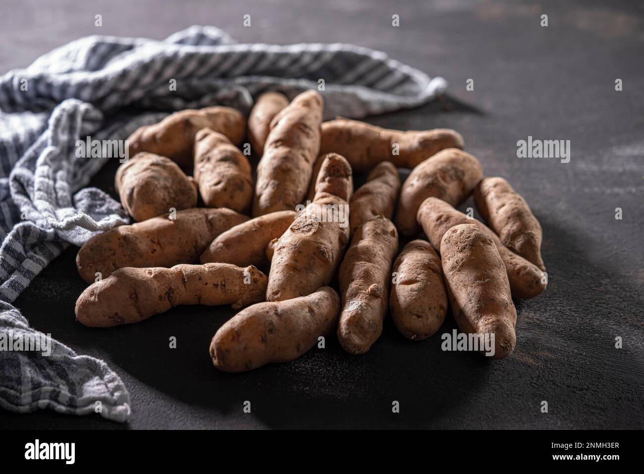 Bamberger Hoernla, also Bamberger Hoernchen, an old potato variety from Franconia, potato, with tea towel, food photography Stock Photo