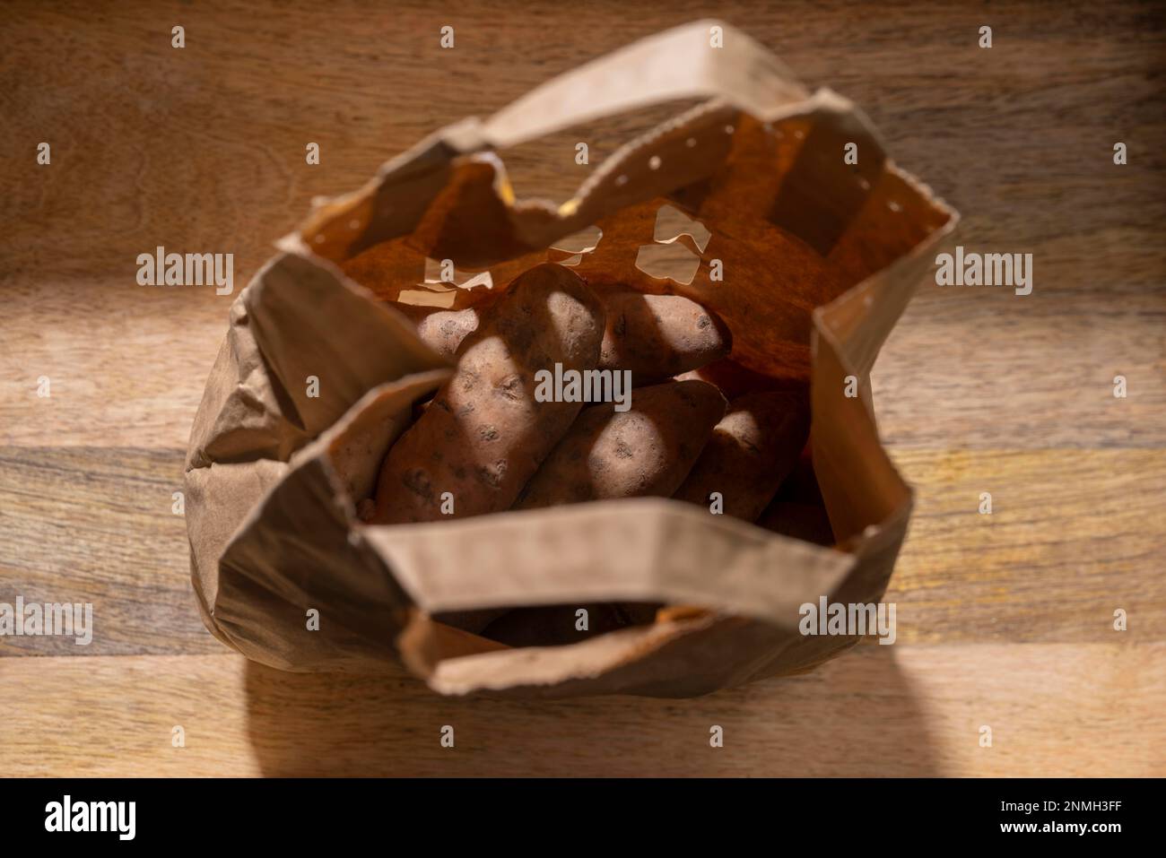 Bamberger Hoernla, also Bamberger Hoernchen, an old potato variety from ...