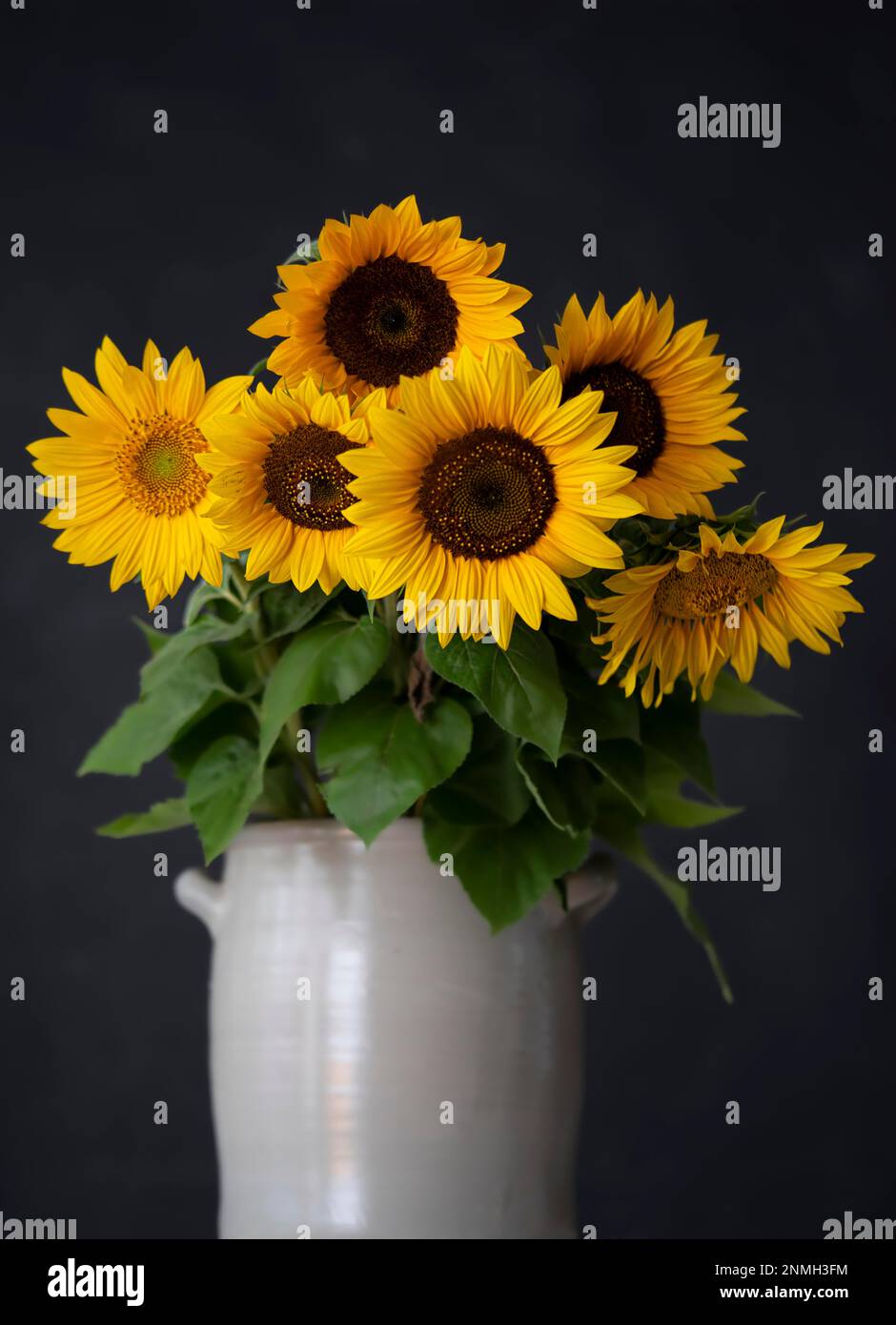 Bouquet of Sunflowers in Ceramic Vase Stock Photo
