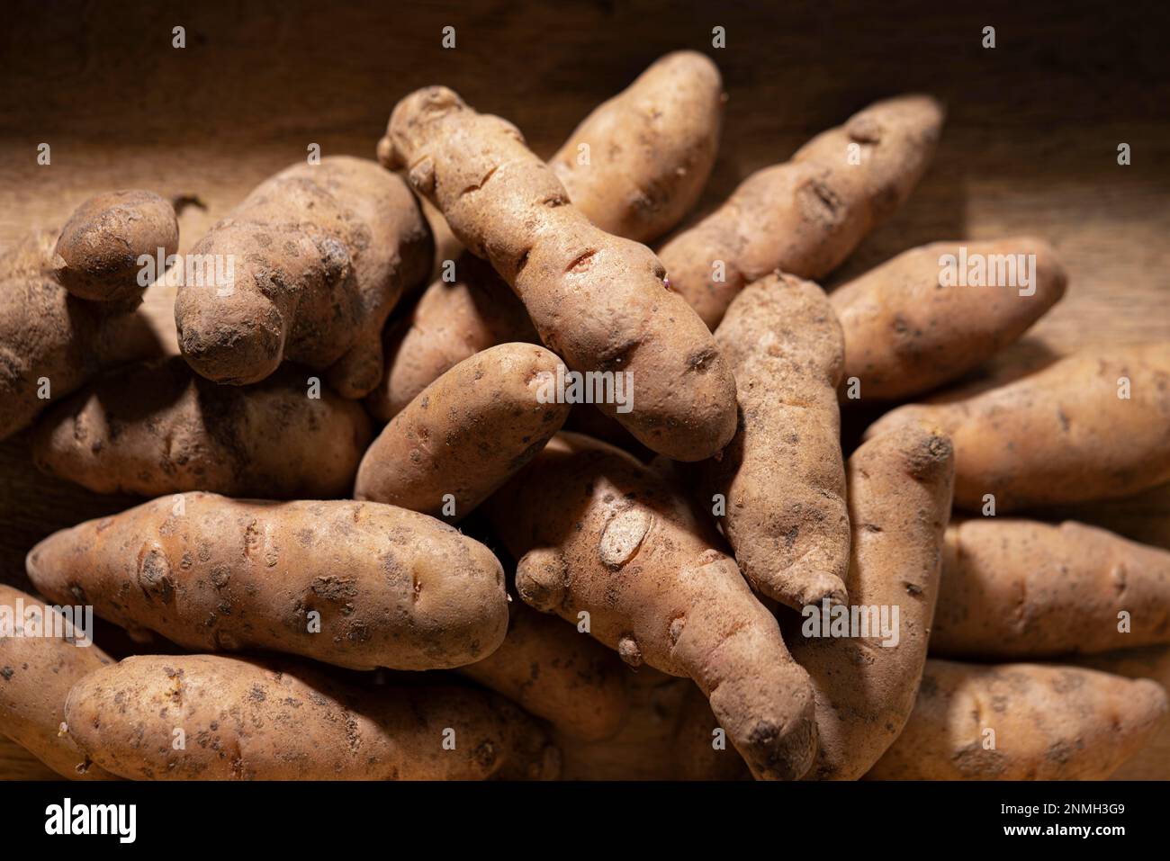 Bamberger Hoernla, also Bamberger Hoernchen, an old potato variety from Franconia, potato, food photography Stock Photo