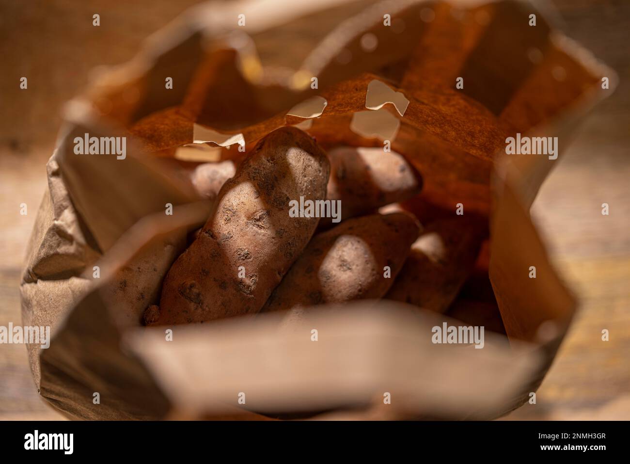 Bamberger Hoernla, also Bamberger Hoernchen, an old potato variety from ...