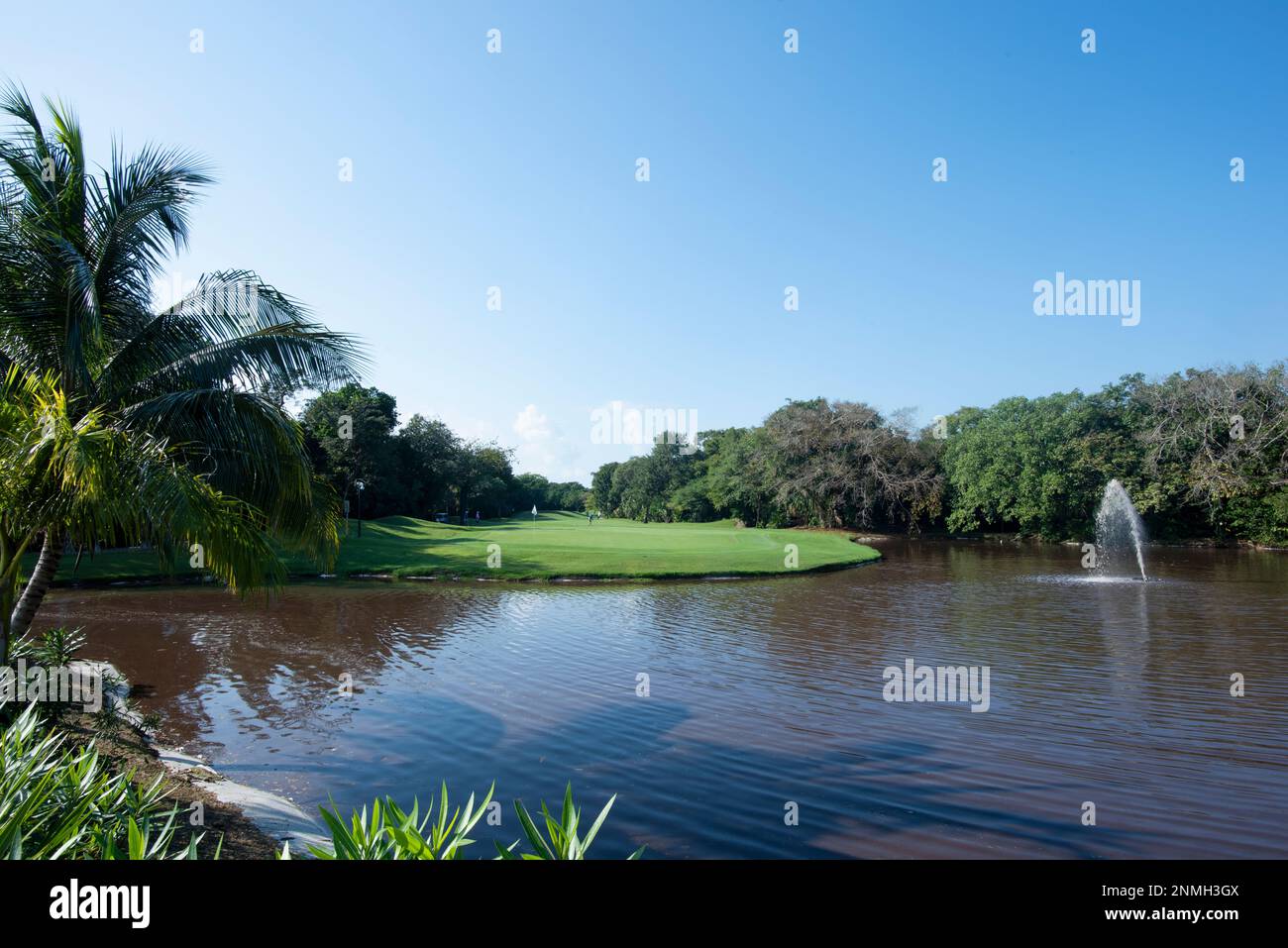 Group of retired friends play a round of golf with final stroke on the green in front of a lake in the tropics during a vacation in Mexico Stock Photo