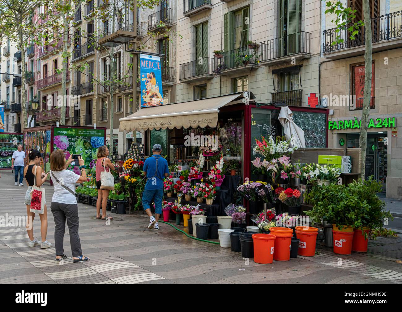 a flower stall on la rambla in Barcelona, Spain Stock Photo - Alamy
