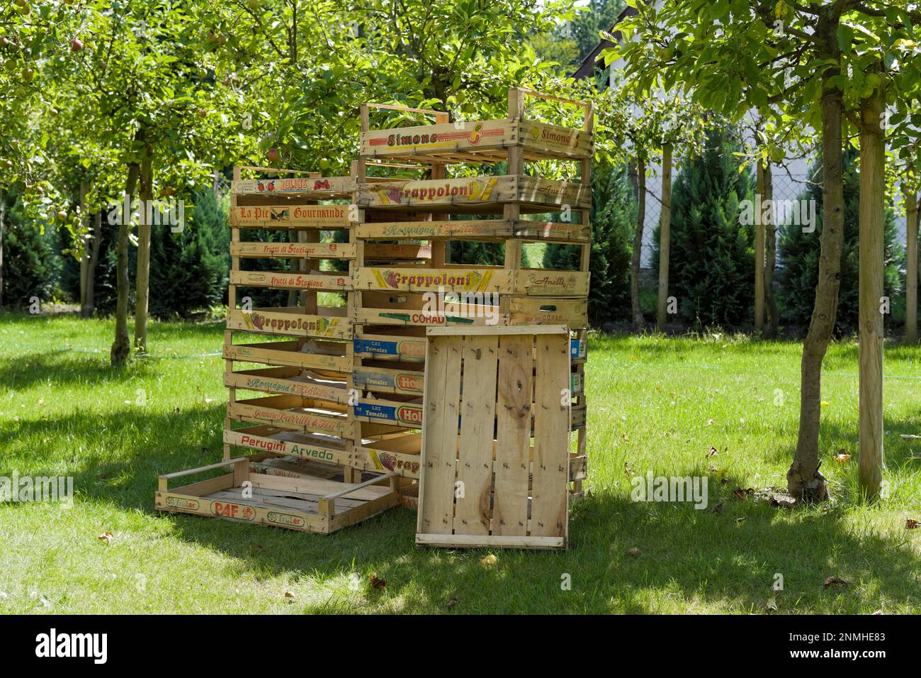 Stacked fruit and vegetable boxes in an orchard Stock Photo Alamy