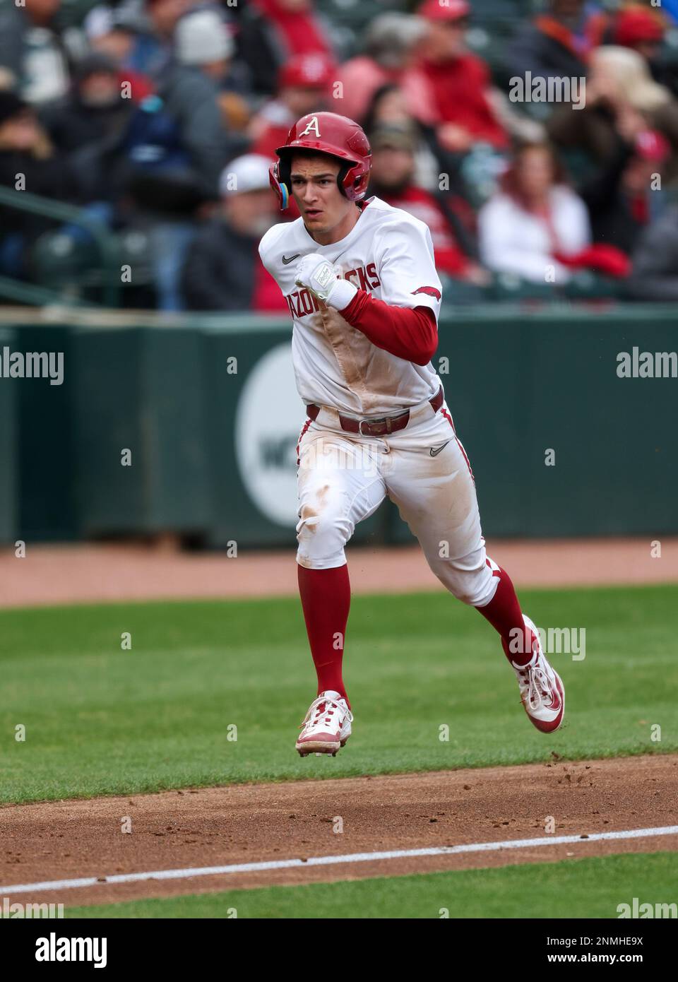 February 24, 2023: Brady Slavens #17 of Arkansas comes down the third base line. Arkansas defeated Eastern Illinois 13-2 in Fayetteville, AR, Richey Miller/CSM Stock Photo