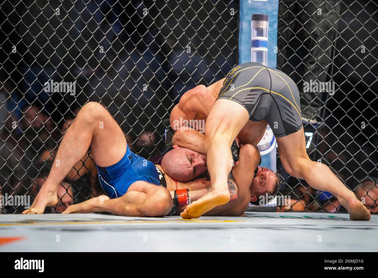 LAS VEGAS, NV - SEPTEMBER 25: (L-R) Brian Ortega attempt submission ...