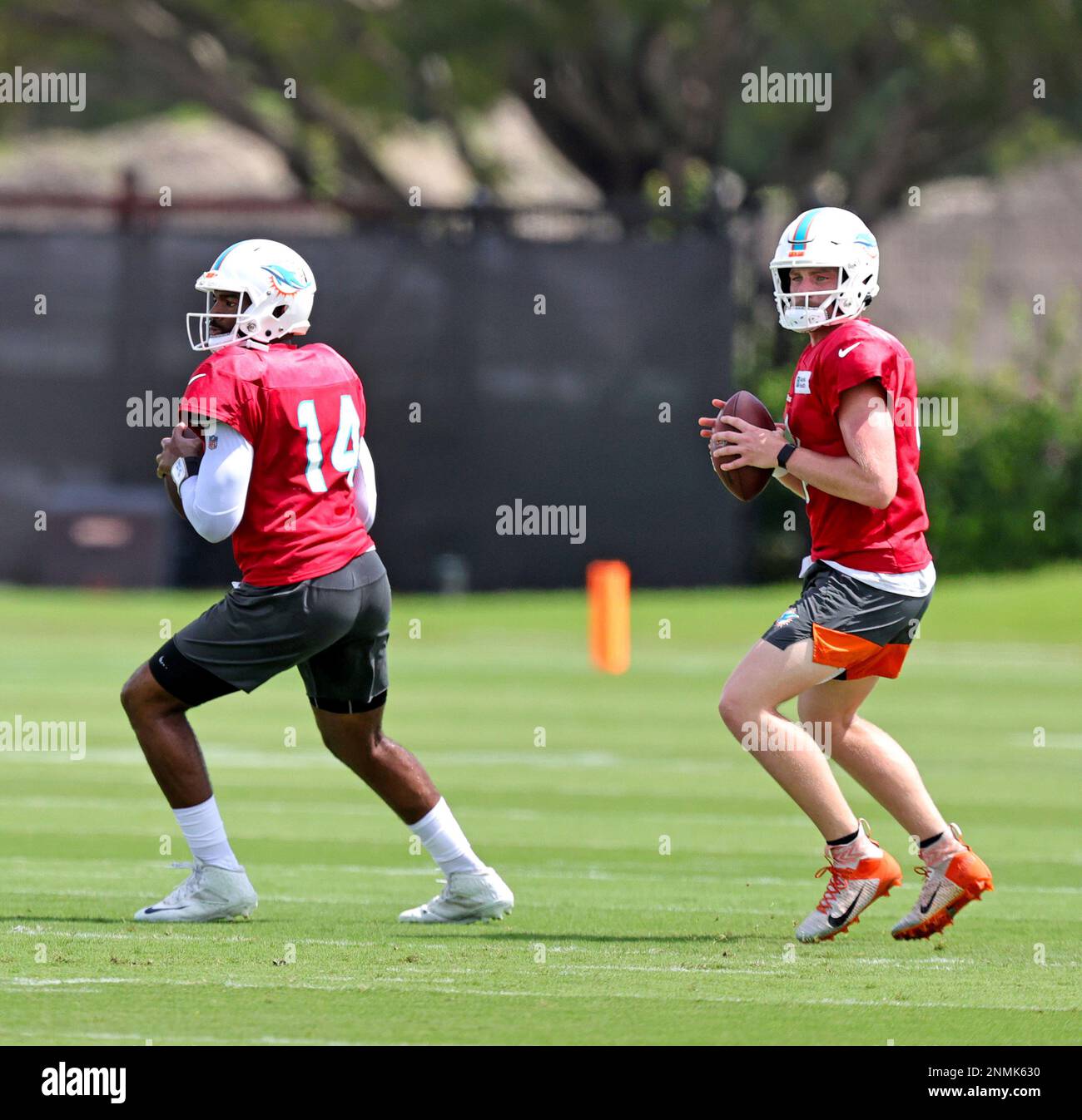 Miami Dolphins quarterback Reid Sinnett works a drill during NFL football  practice, Wednesday, Sept. 1, 2021 in Miami Gardens, Fla. (David  Santiago/Miami Herald via AP Stock Photo - Alamy