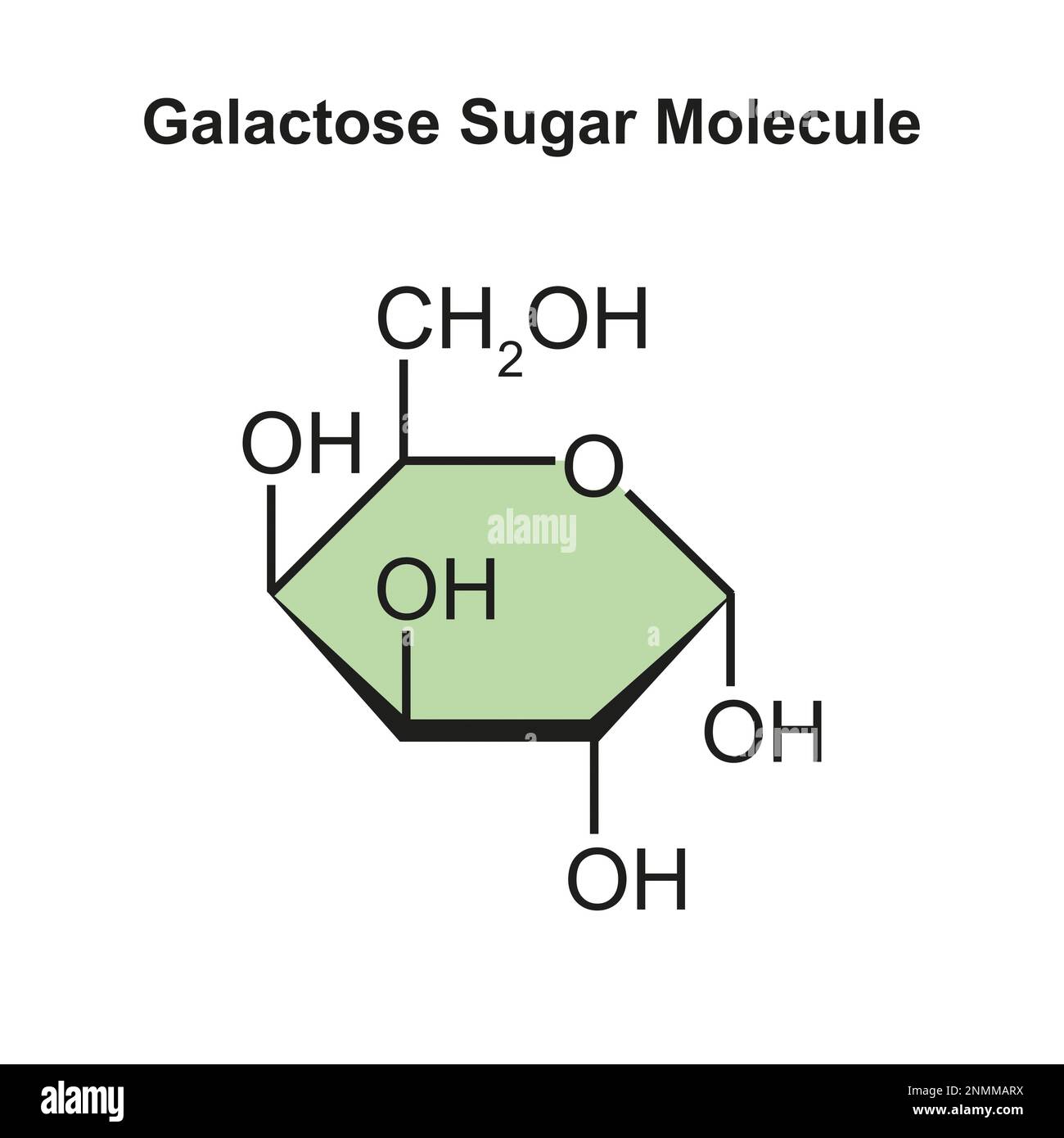 Galactose sugar molecule, illustration Stock Photo - Alamy
