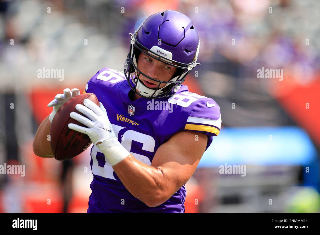 tight end minnesota vikings