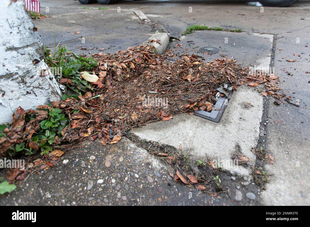 A catch basins near 14th Street West is clogged with debris Tuesday