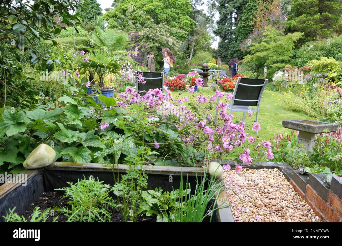 Cottage gardens in Birmingham UK Stock Photo Alamy