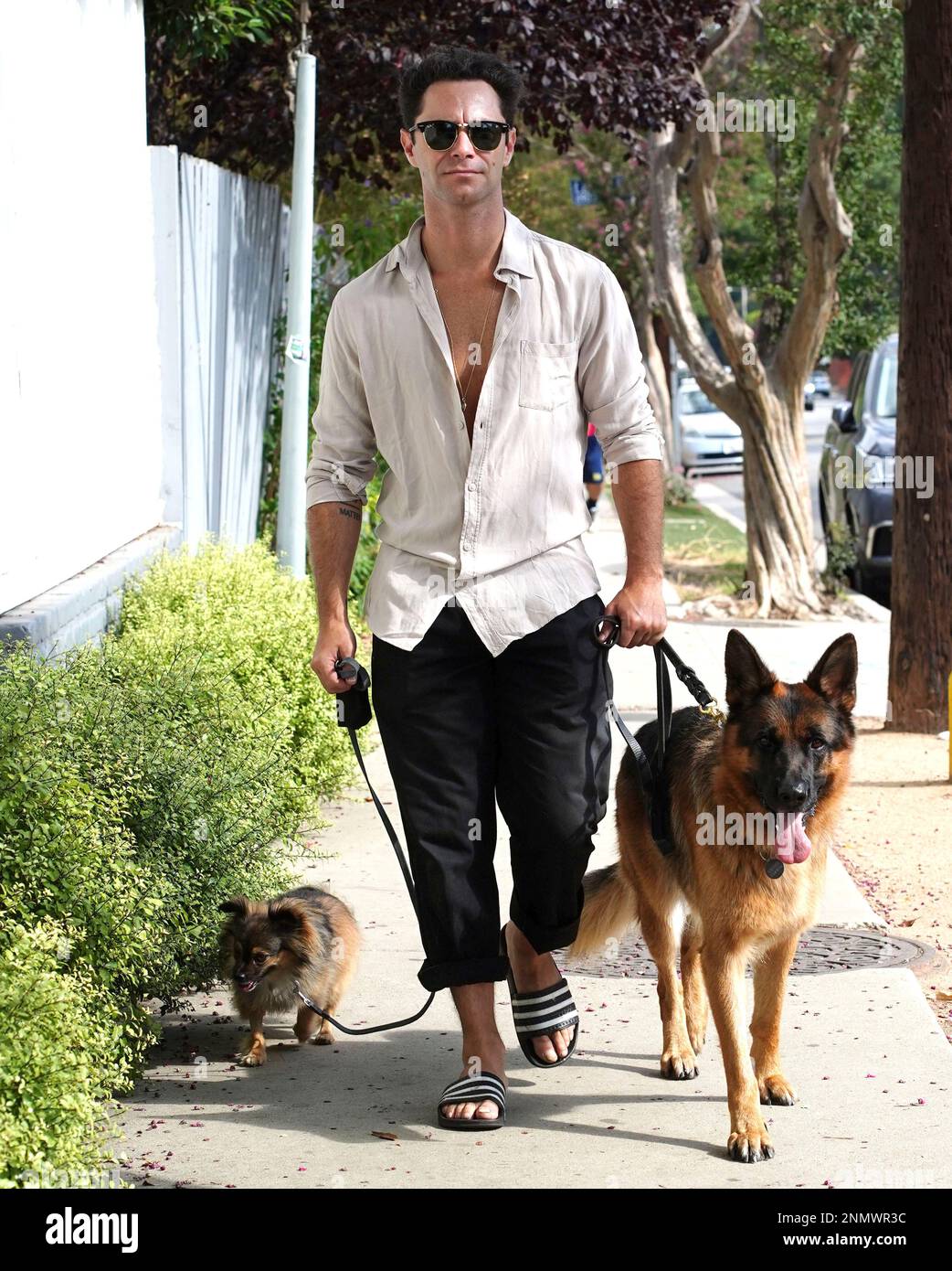 Photo by: gotpapSTAR MAXIPx 2021 81121 Sasha Farber is seen in Los  Angeles, CA Stock Photo - Alamy