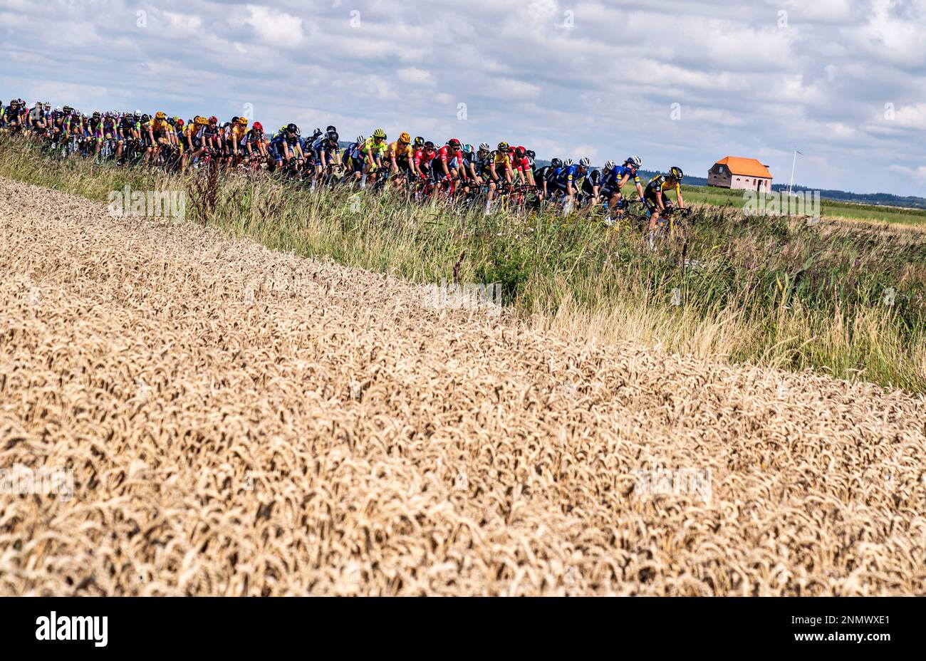 The peleton passes fields near Ballum Sluse during second stage of the ...