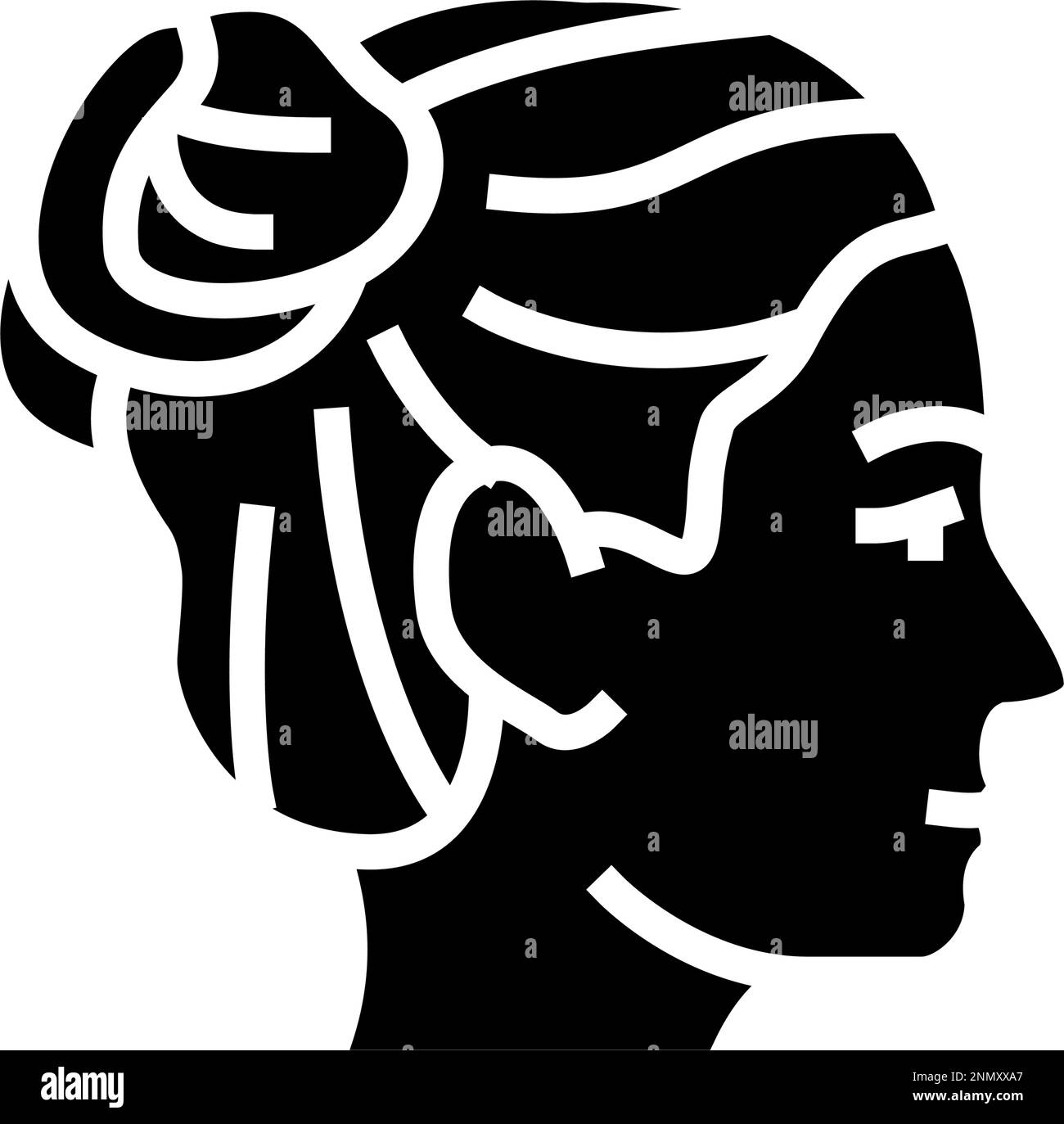 double buns hairstyle female glyph icon vector illustration Stock