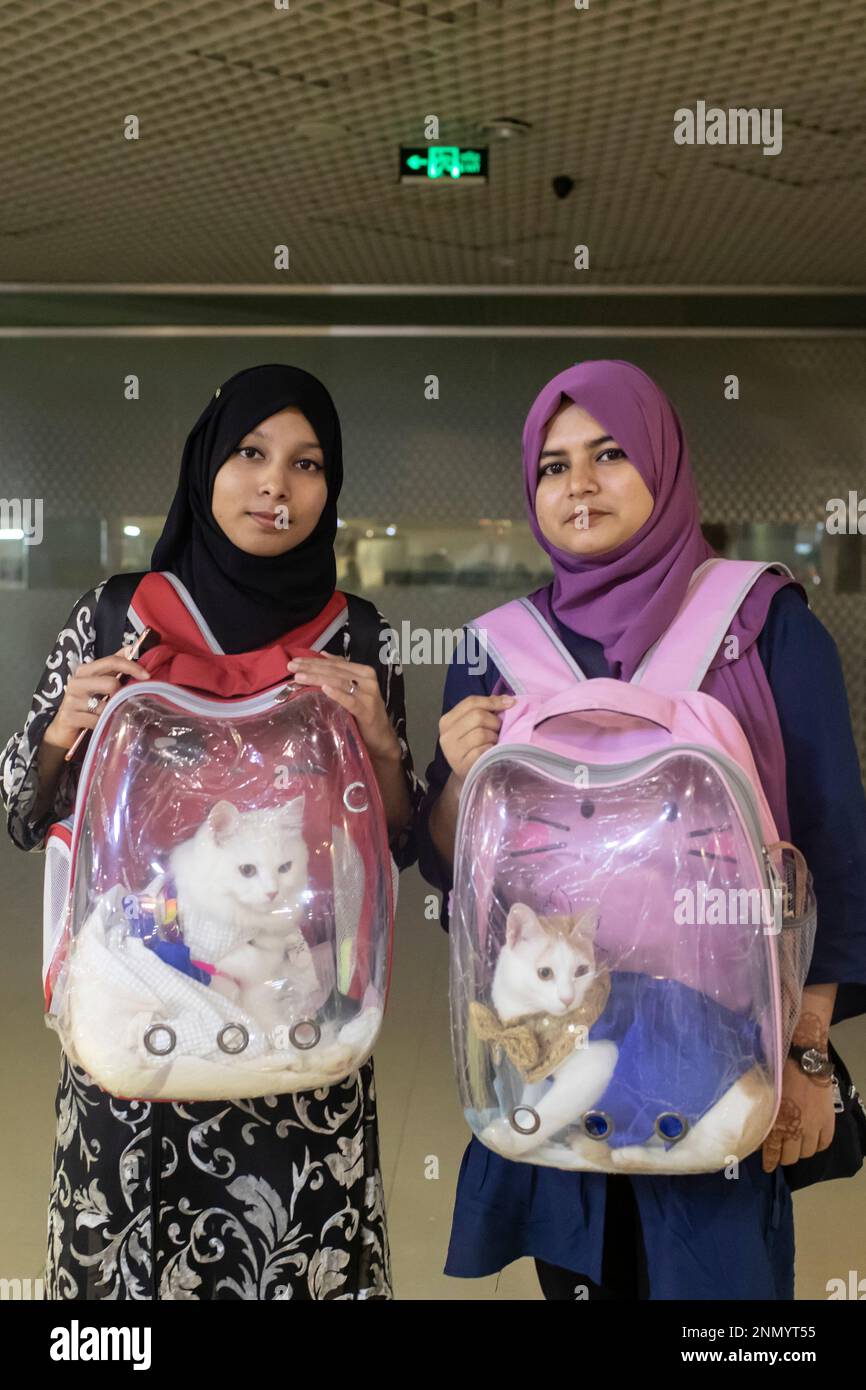 Dhaka, Bangladesh. 24th Feb, 2023. A cat owner shows off her pet cat