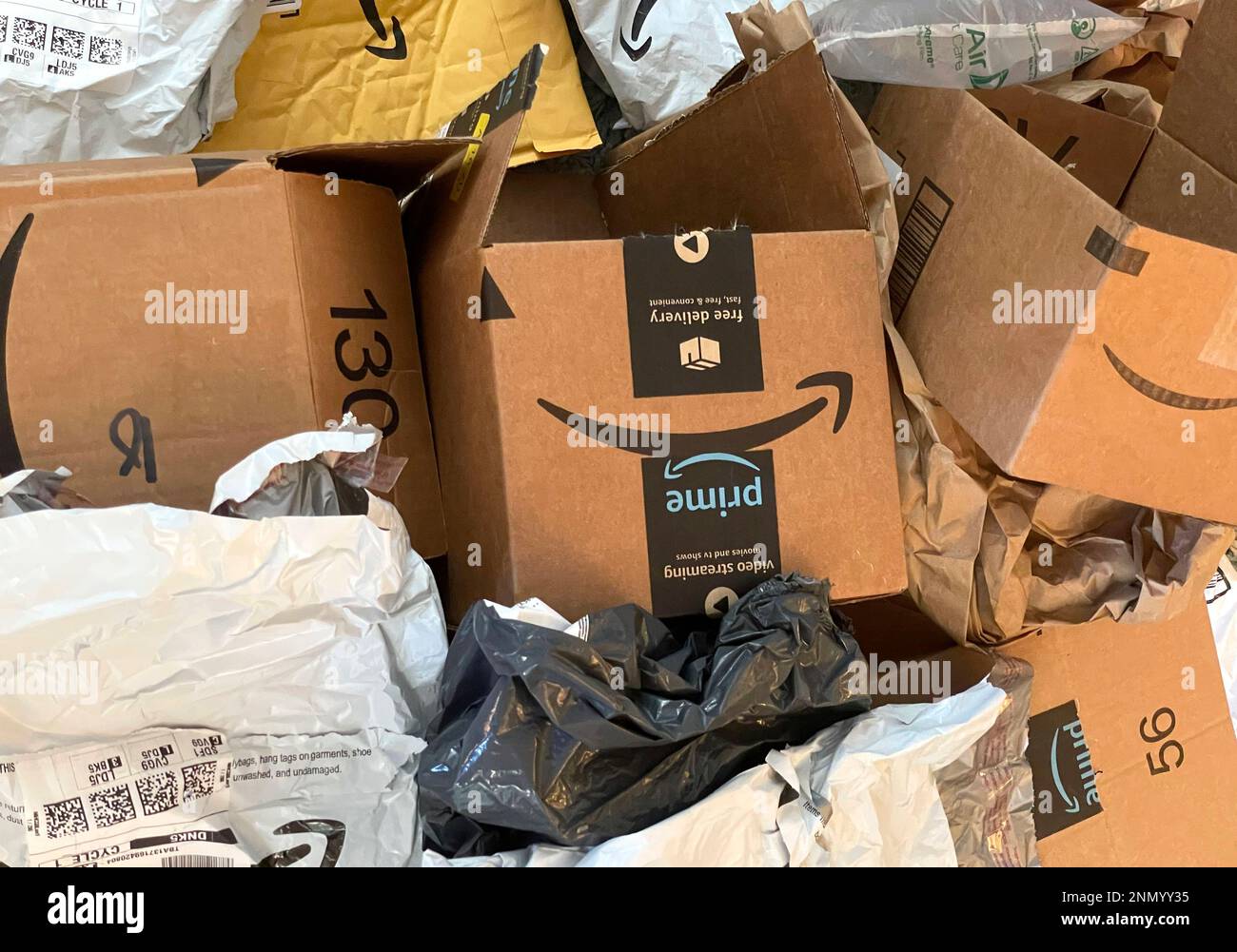 Photo by STRF/STAR MAX/IPx 2021 8/1/21 States push to charge