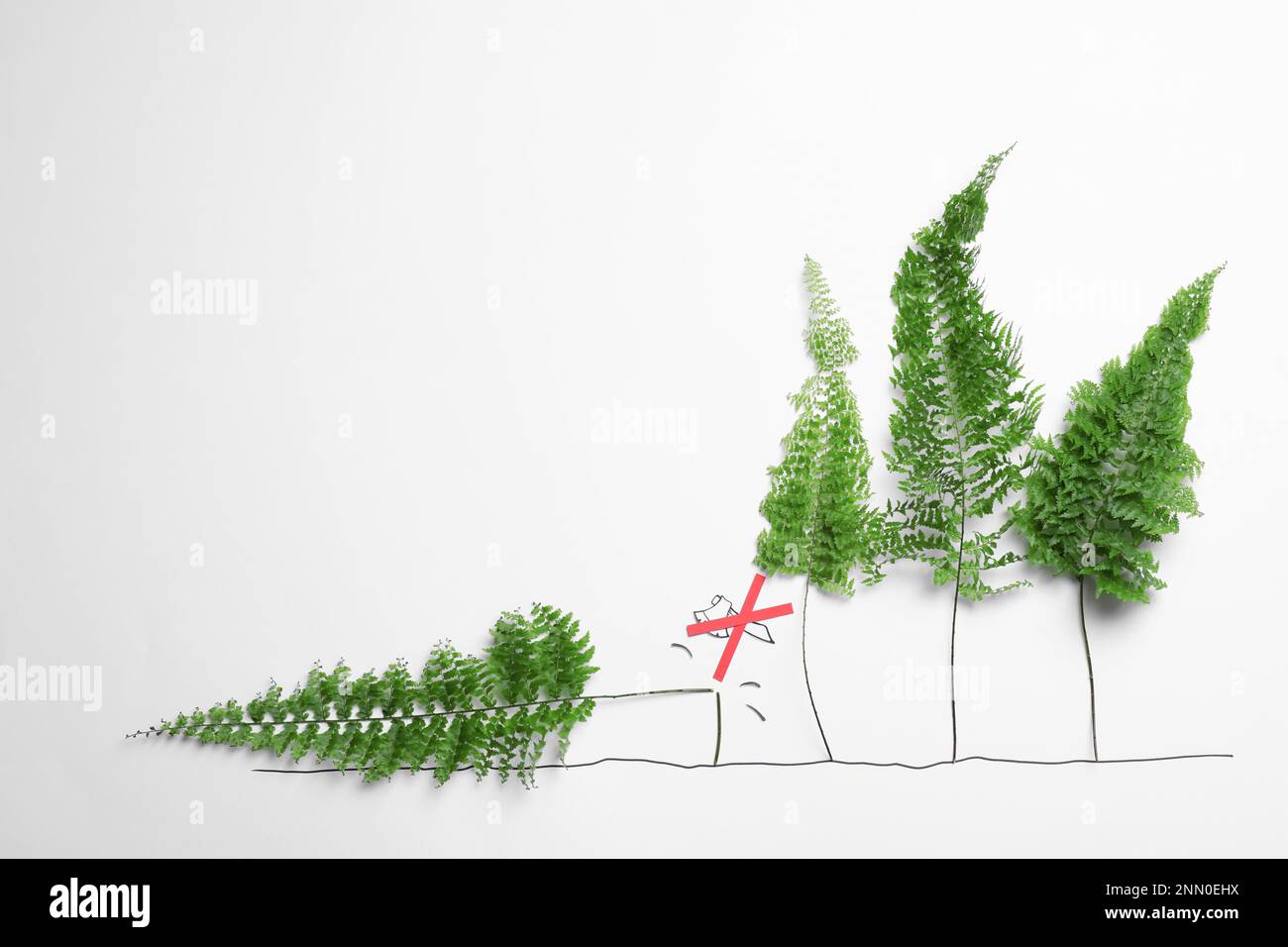 Flat lay composition with fern leaves and crossed axe on white ...