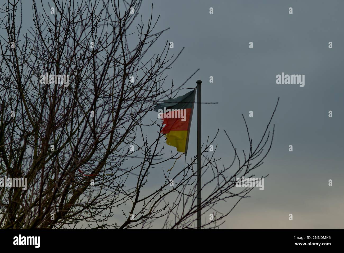 A German flag with black, red and golden stripes, frayed and torn by the wind and the top of a leafless tree on the right and a monotonous gray sky Stock Photo
