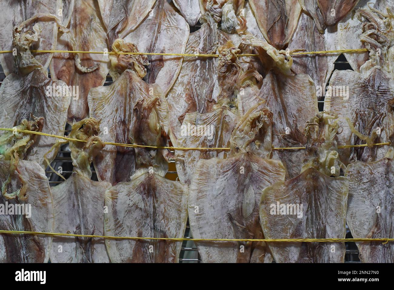 Many dried squid in vietnamese night market in Da Lat Stock Photo Alamy