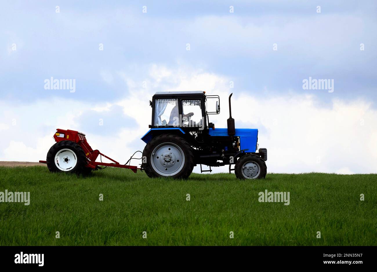 Driver wheeled tractor fertilizing winter wheat with mineral fertilizers. Feeding of grain crops. Rural landscape, farmland. Selective focus. Copy spa Stock Photo