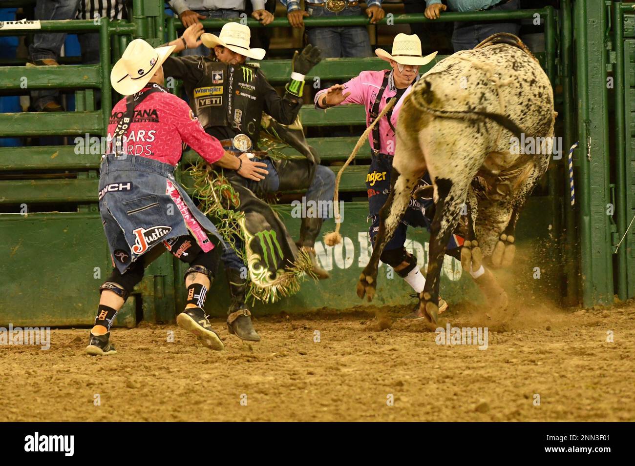 RENO, NV JUNE 25 JB Mauney scores 89 points aboard the rank bull 516