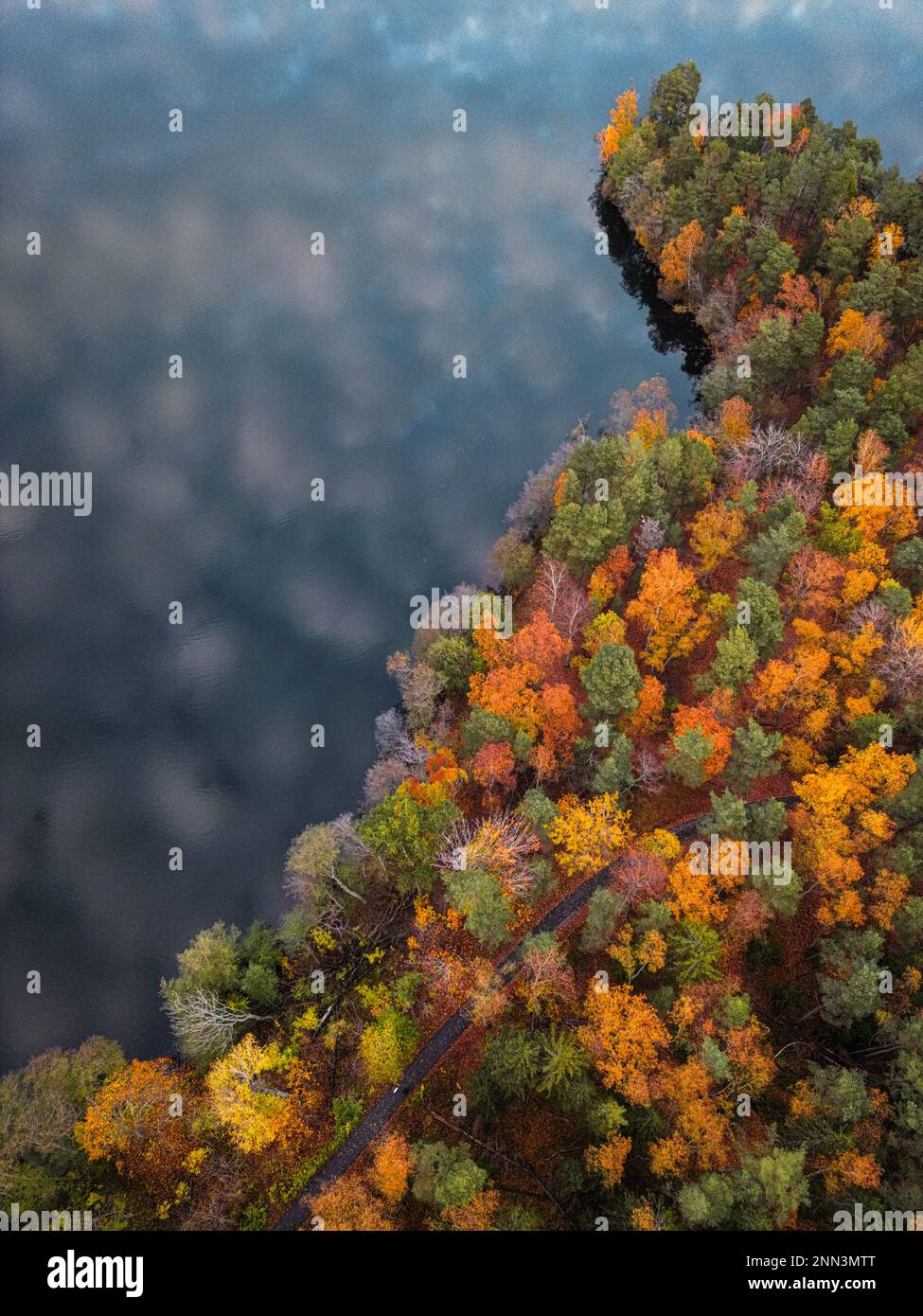 A scenic view of a winding road lined with trees of various autumnal ...
