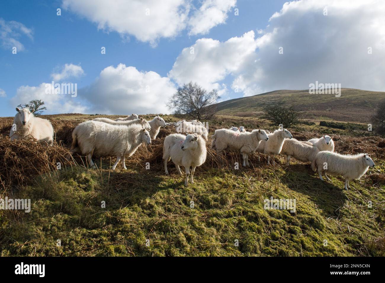 Height 551 metres above sea level hi-res stock photography and images ...