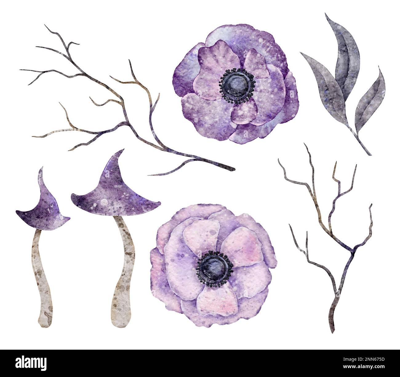 Watercolor Boho Anemone flowers, leaves, branches and mushrooms. Halloween elements. Witch Illustration isolated on the white background For card Stock Photo