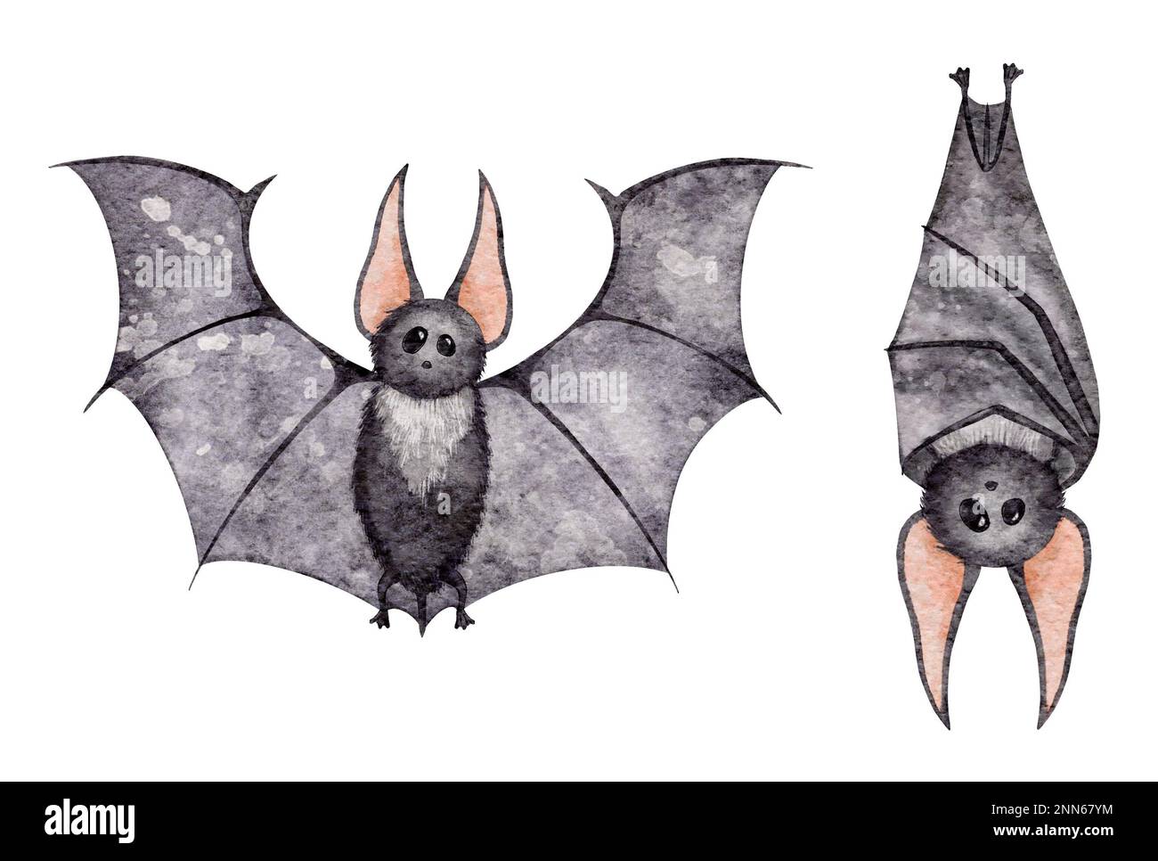 How to Draw a Bat - Step by Step Bat Drawing Tutorial | Draw a bat, Drawing  tutorial, Drawing tutorials for kids