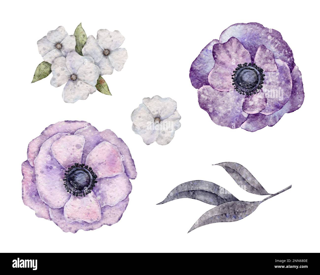Watercolor Boho Anemone flowers, leaves, branches and mushrooms. Halloween elements. Witch Illustration isolated on the white background For card Stock Photo