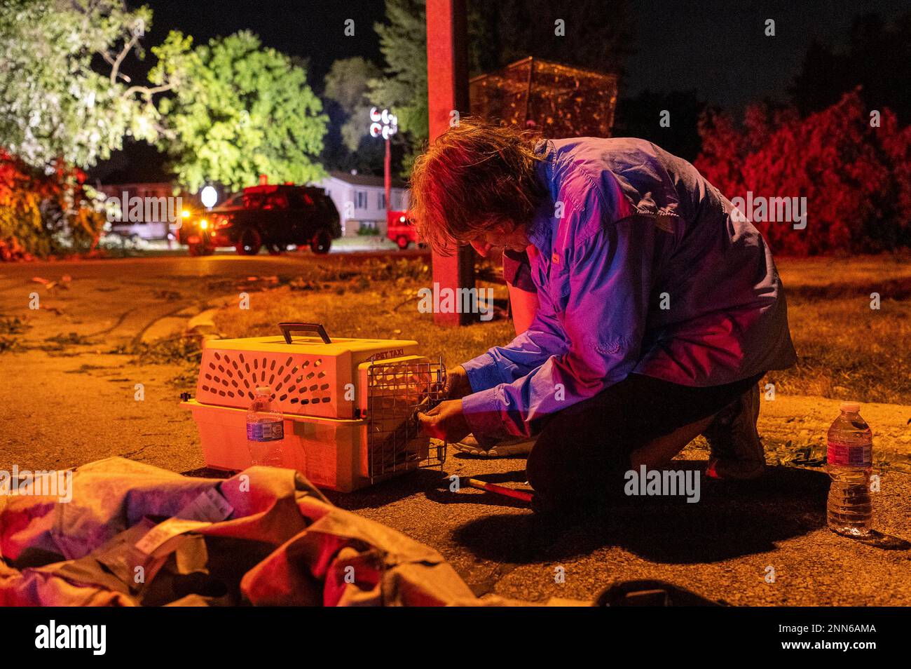 Crystal Porter transfers doves from a destroyed bird cage into a dog