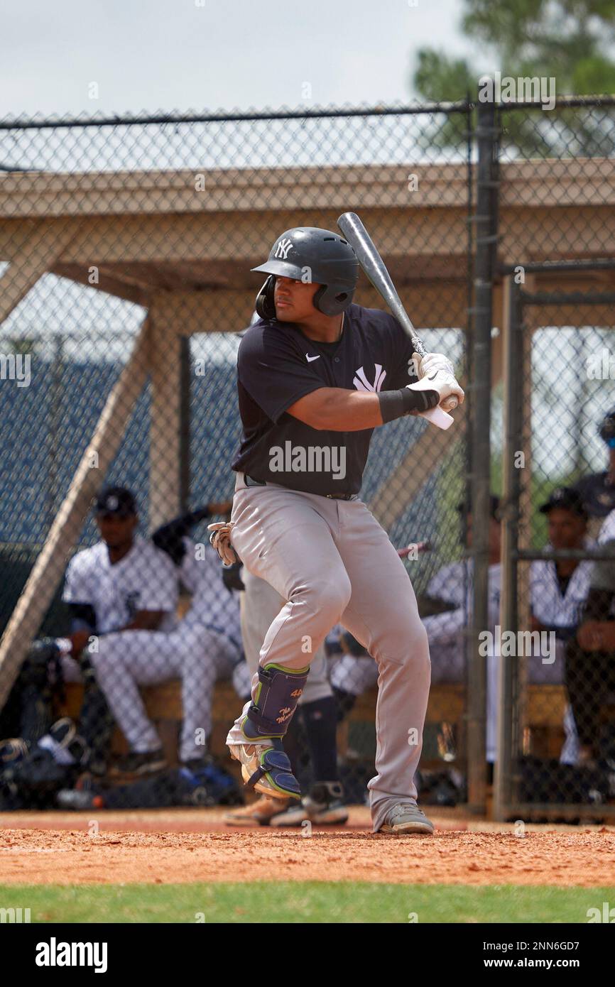 Detroit Tigers spring training 2021: Best photos at Lakeland, Florida