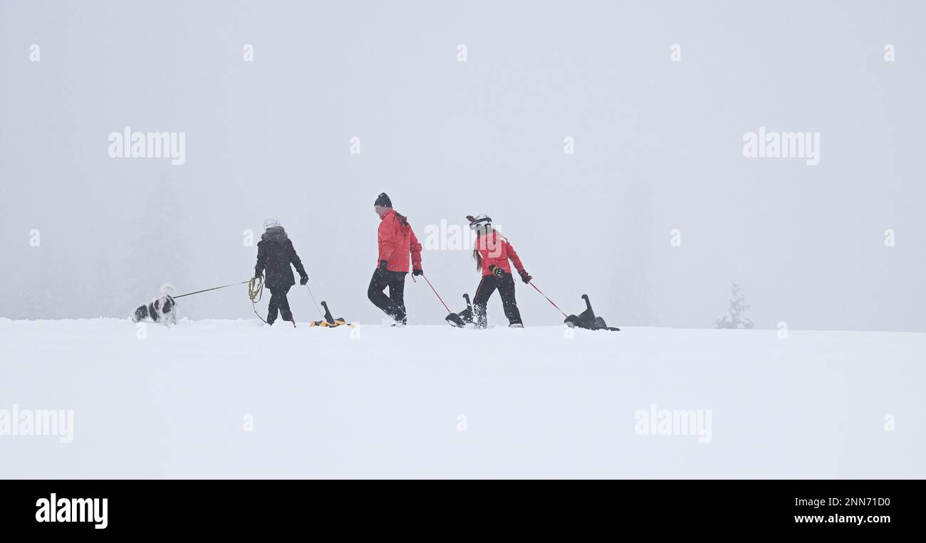 Garmisch Partenkirchen, Germany. 25th Feb, 2023. A family walks through the snow with their sledges on the Eckbauer. Credit: Angelika Warmuth/dpa/Alamy Live News Stock Photo