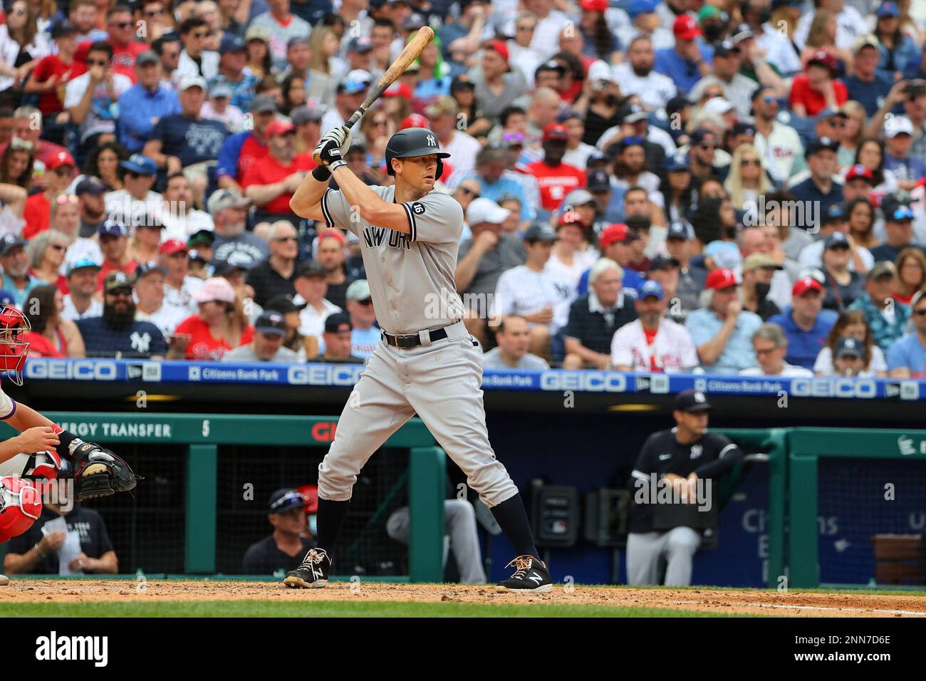 DJ LeMahieu of the New York Yankees at bat during the Major League