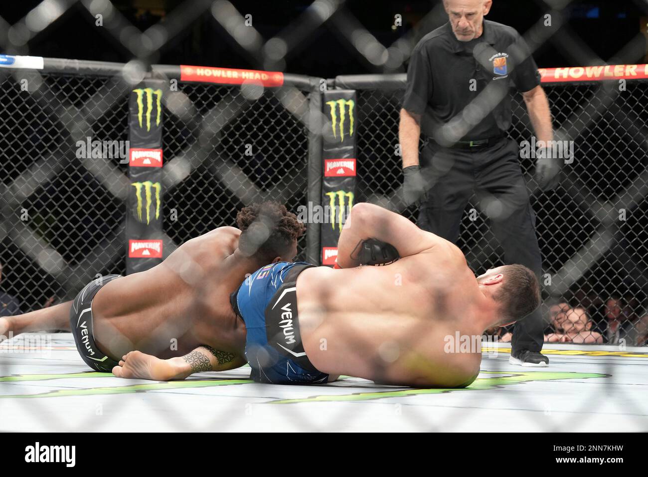 Ufc Broken Arm