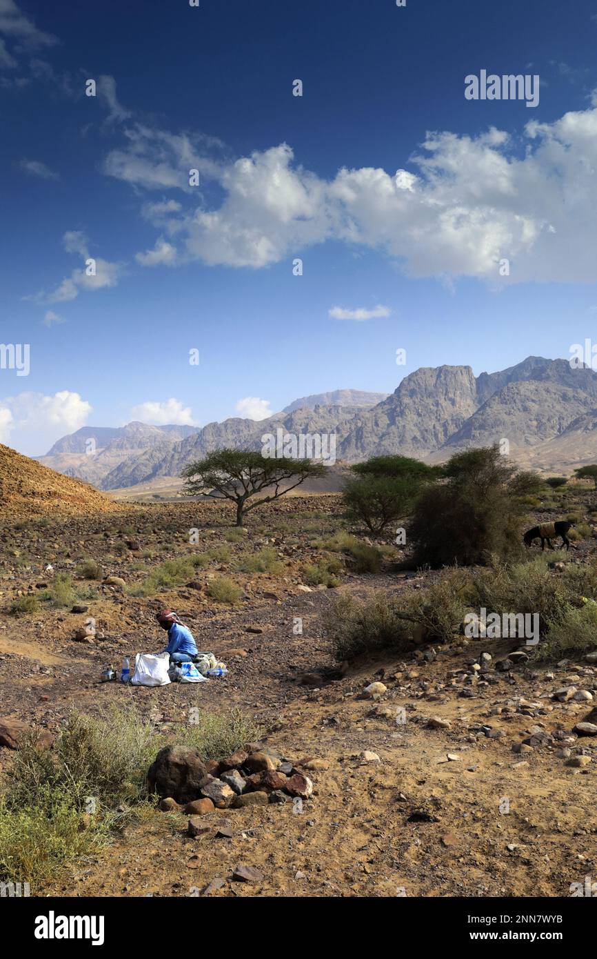 Traditional Bedouin shepherd, Wadi Feynan, AlSharat, Wadi Araba Desert