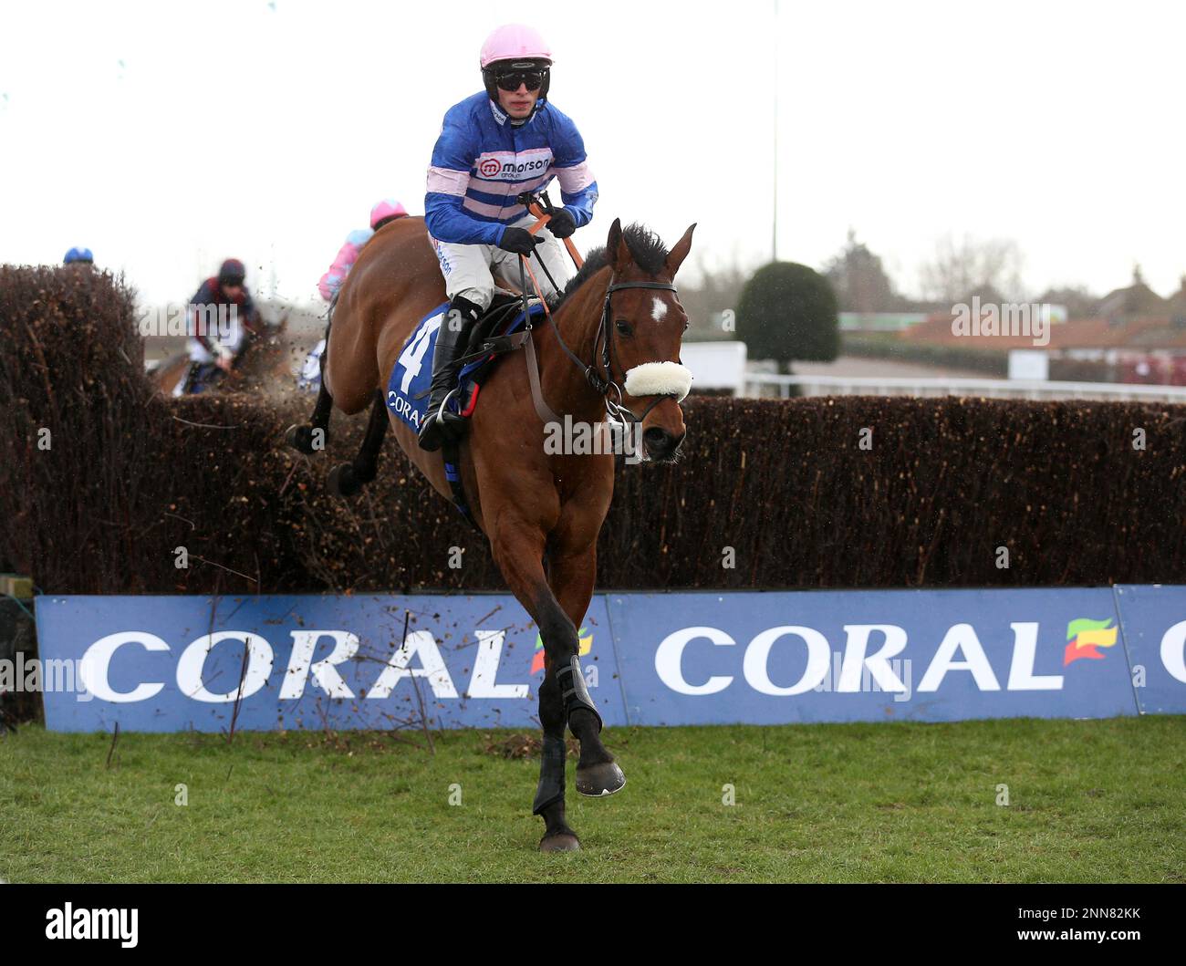 Solo ridden by Harry Cobden clears a fence before going on to win the Coral Pendil Novices' Chase at Kempton Park Racecourse, Surrey. Picture date: Saturday February 25, 2023. Stock Photo