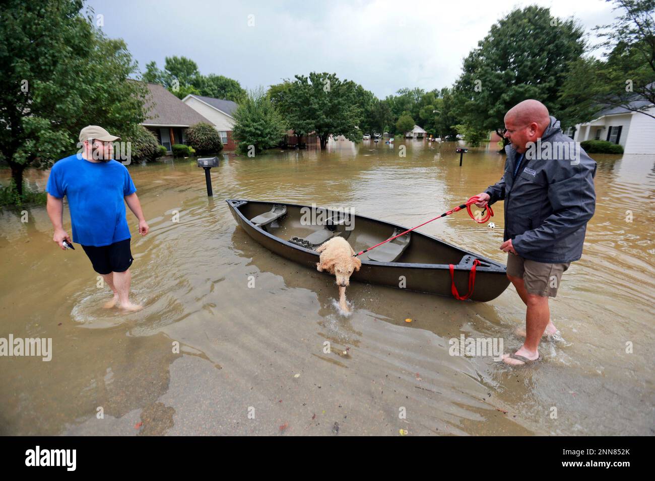 Michael Neely, left, looks on as Alex Wilcox delivers "scout" to safety