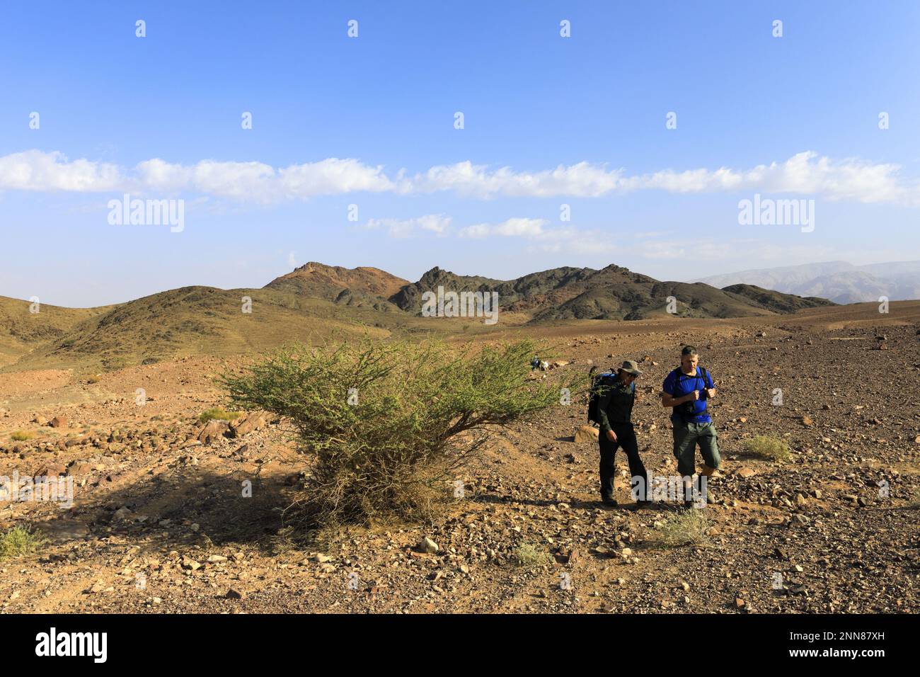 Walkers in the Hamada rocky landscape in Wadi Feynan, AlSharat, Wadi Araba Desert, south