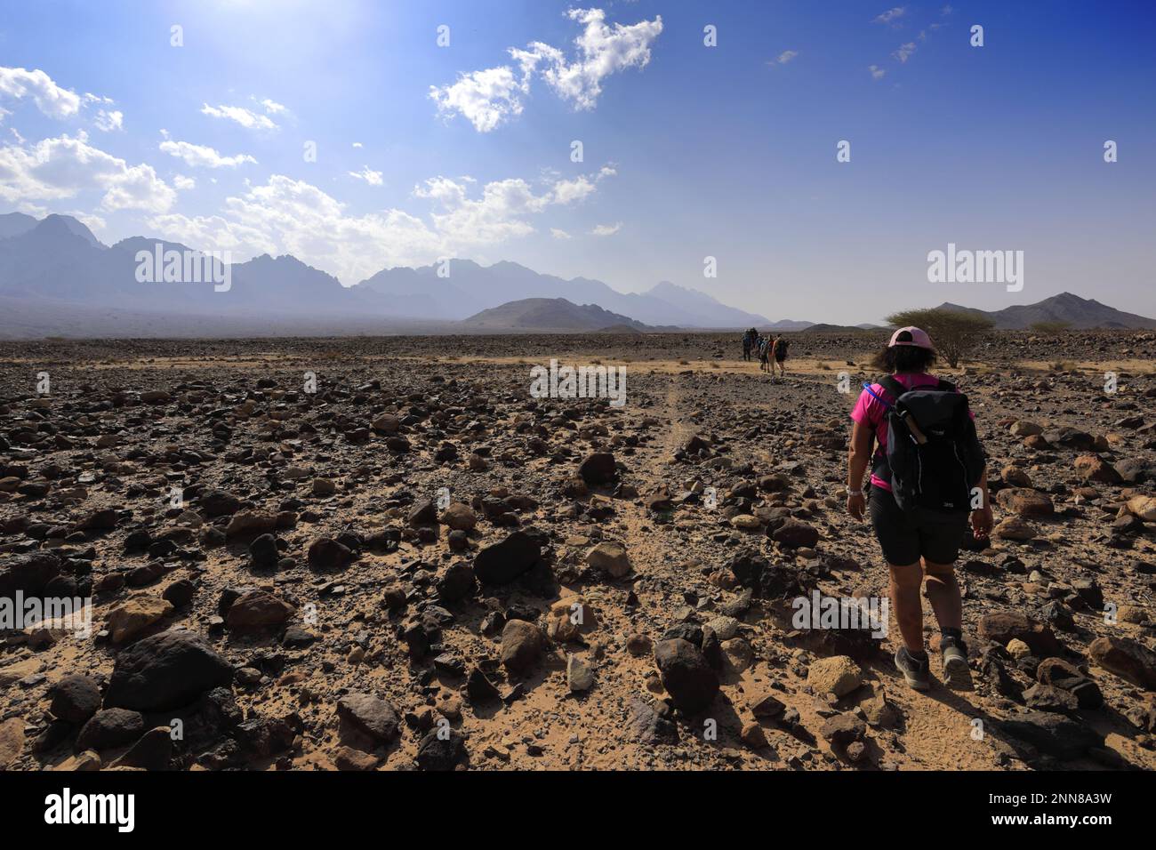 Walkers in the Hamada rocky landscape in Wadi Feynan, AlSharat, Wadi Araba Desert, south
