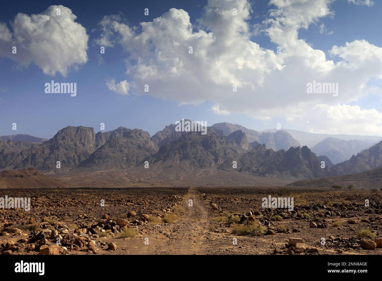 View over the Hamada rocky landscape in Wadi Feynan, Al-Sharat, Wadi ...