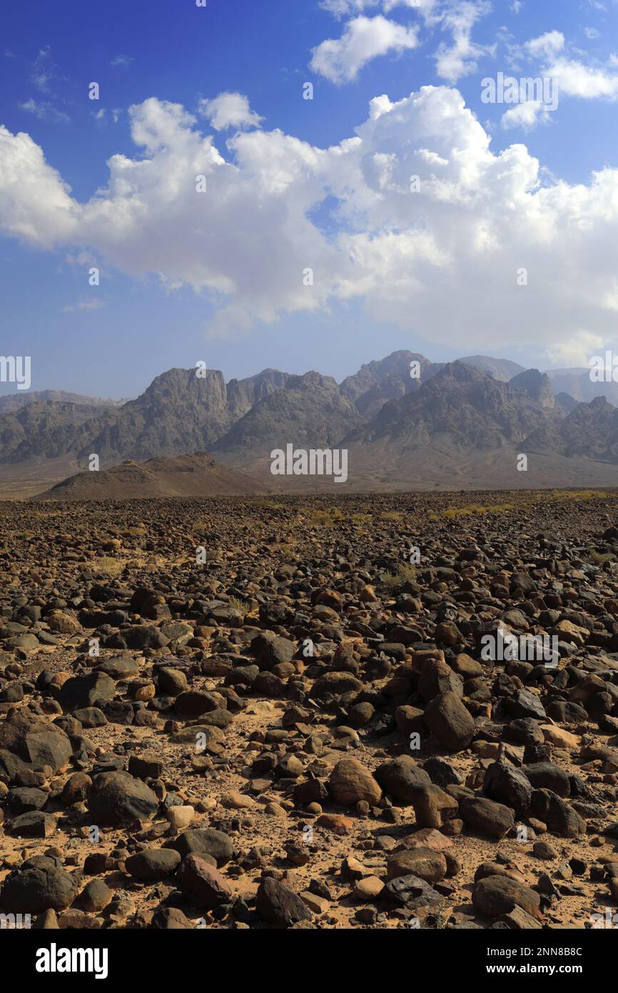 View over the Hamada rocky landscape in Wadi Feynan, Al-Sharat, Wadi ...